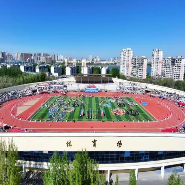 足球杯赛焦点对决：阵容深度透析与胜负预测